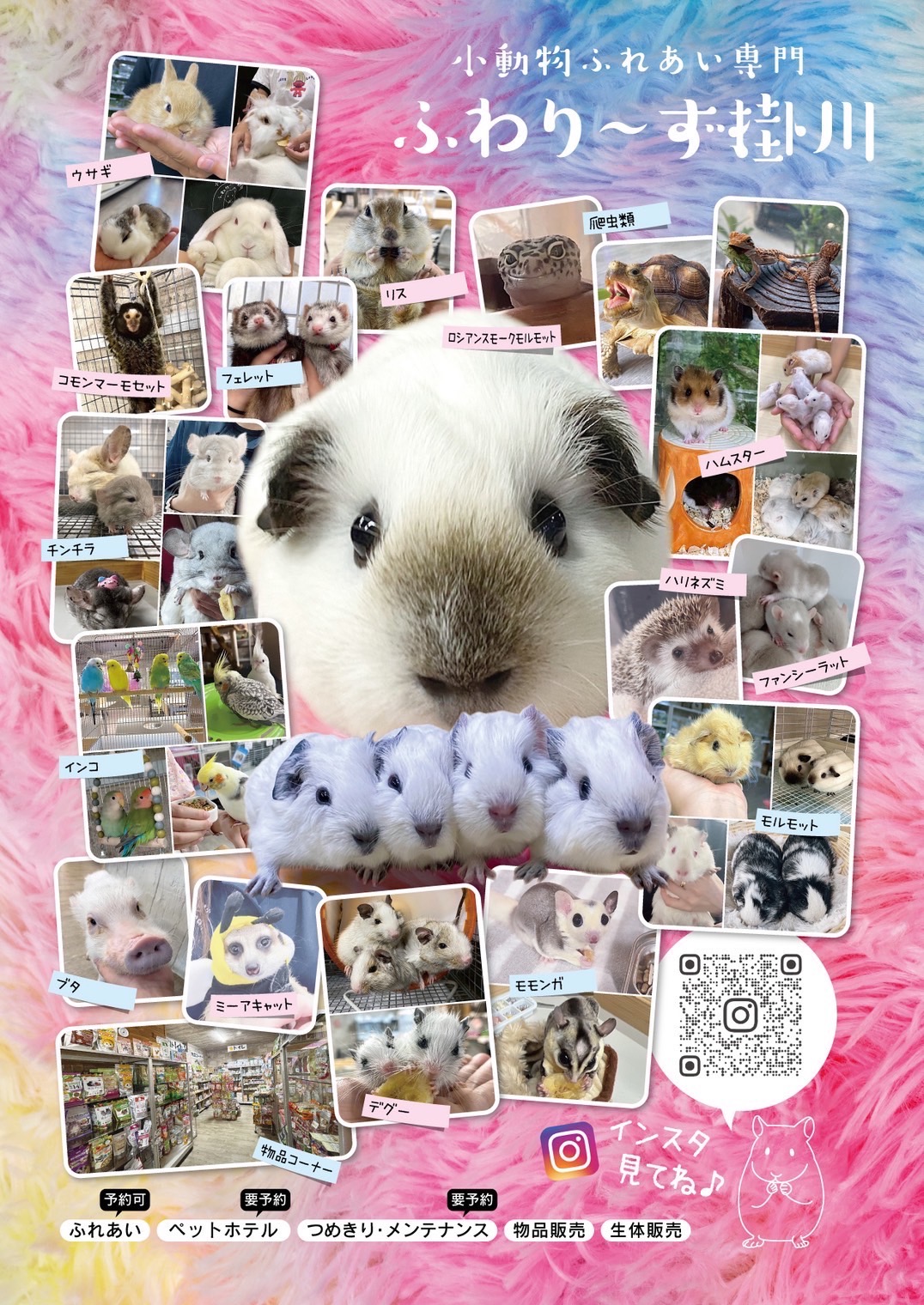 小動物と触れ合いながら、癒しのひとときを過ごせる「ふわり～ず」
